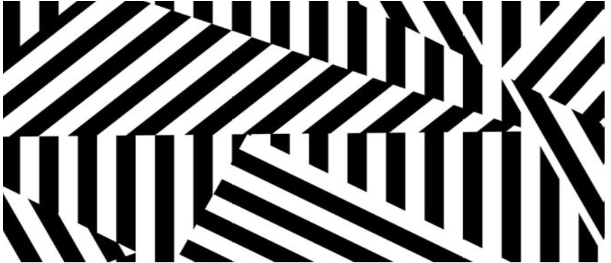 An abstract black and white zebra stripe pattern.