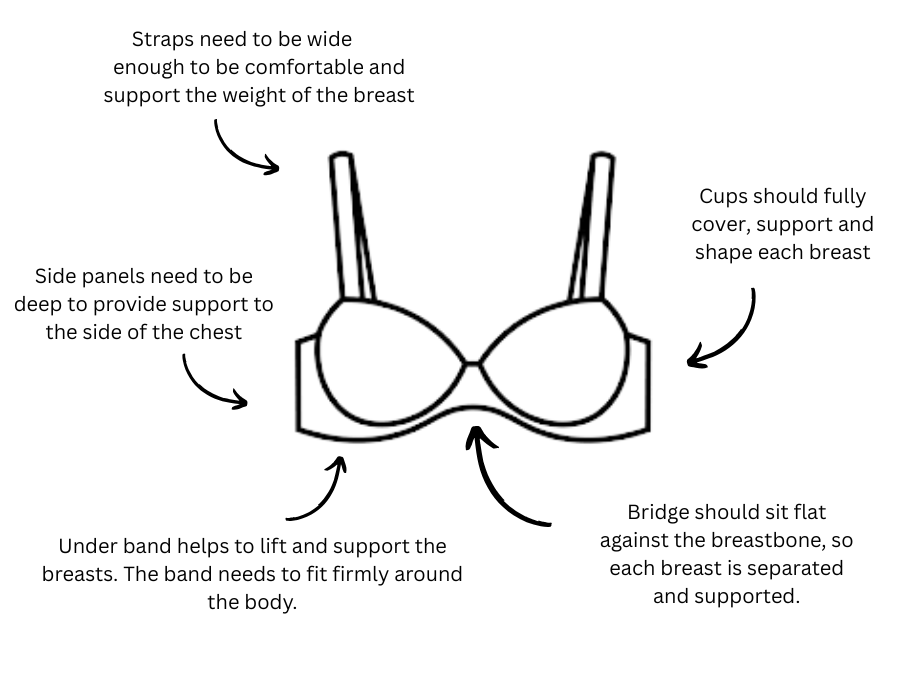 An image of a women's bra with information around it to explain how it should fit comfortably.