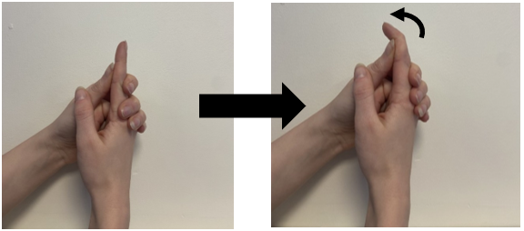 Two images demonstrating finger exercises for hand therapy.