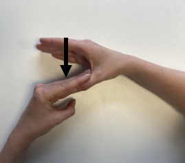 A pair of hands demonstrating thumb stretches.