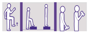 Illustration of various exercises: stepping onto a raised platform, sitting, standing, and holding dumbbells.