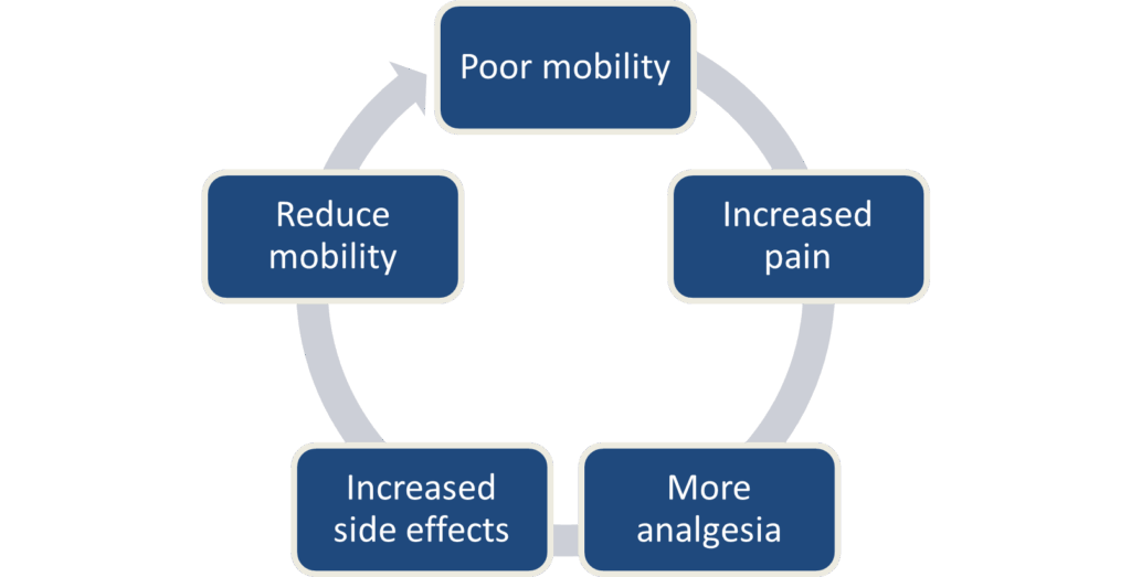 A flowchart illustrating a cycle with five interconnected steps. The steps are labeled: "Poor mobility," "Increased pain," "More analgesia," "Increased side effects," and "Reduce mobility." Arrows connect each step, indicating a continuous loop.