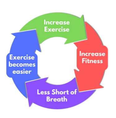 A cycle diagram with four coloured arrows. Green arrow: "Increase Exercise;" red arrow: "Increase Fitness;" purple arrow: "Less Short of Breath;" blue arrow: "Exercise becomes easier." Arrows form a continuous loop.
