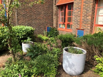 Green plants and plant pots outside a window